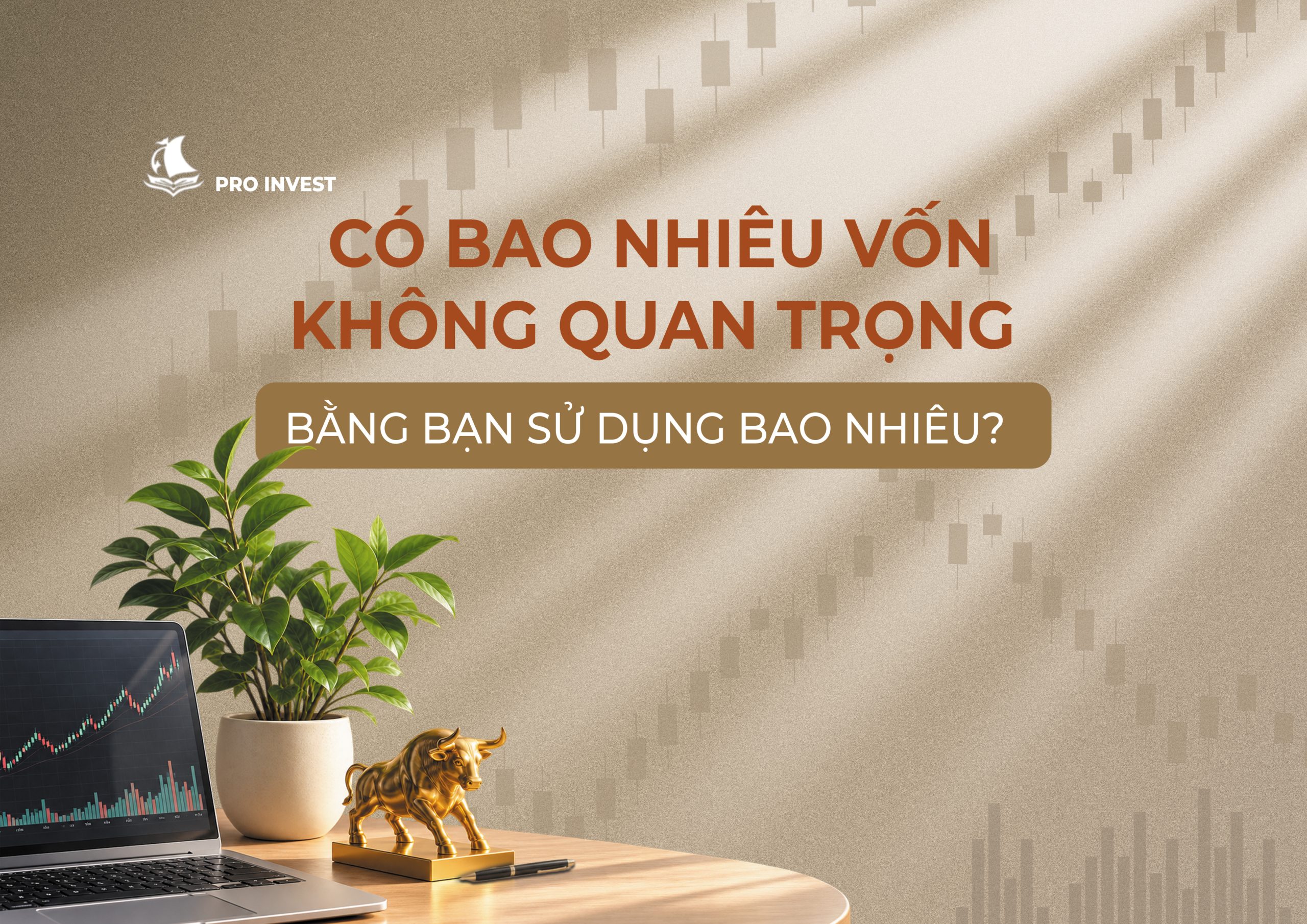 CÓ BAO NHIÊU VỐN KHÔNG QUAN TRỌNG BẰNG BẠN SỬ DỤNG BAO NHIÊU?
